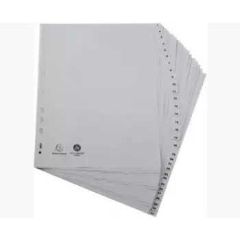 Exacompta 2931E Segtuvas A4 - Pilka - 100 % perdirbtas polipropilenas - 2 žiedai 20 mm - Nugarėlė 30 mm - Talpa 180 lapų