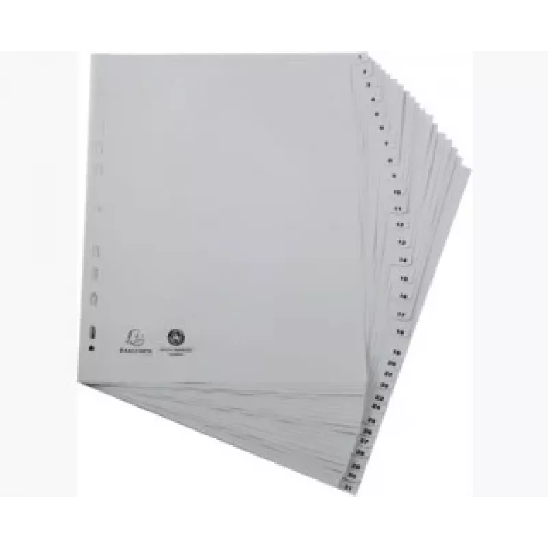 Exacompta 2931E Segtuvas A4 - Pilka - 100 % perdirbtas polipropilenas - 2 žiedai 20 mm - Nugarėlė 30 mm - Talpa 180 lapų