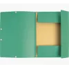 Exacompta Collection Folder 55403E DIN A4 3 Flaps Cardboard Green