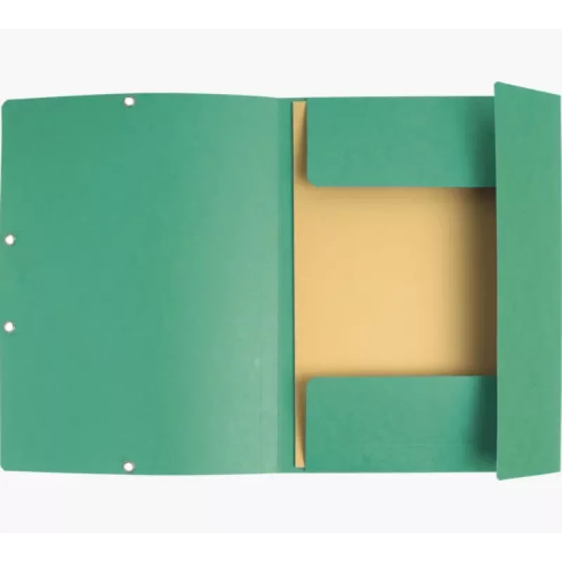Exacompta Collection Folder 55403E DIN A4 3 Flaps Cardboard Green