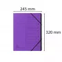 Exacompta besiplečiantis aplankas su 12 skyrių violetinis Colorspan
