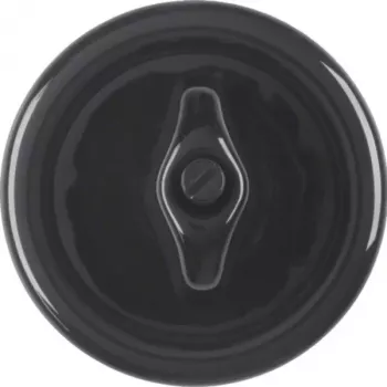 HAGER WTW1000PBG Centrinė detalė su perjungimo jungikliu Serija 1930 Porcelianas, pagaminta Rosenthal