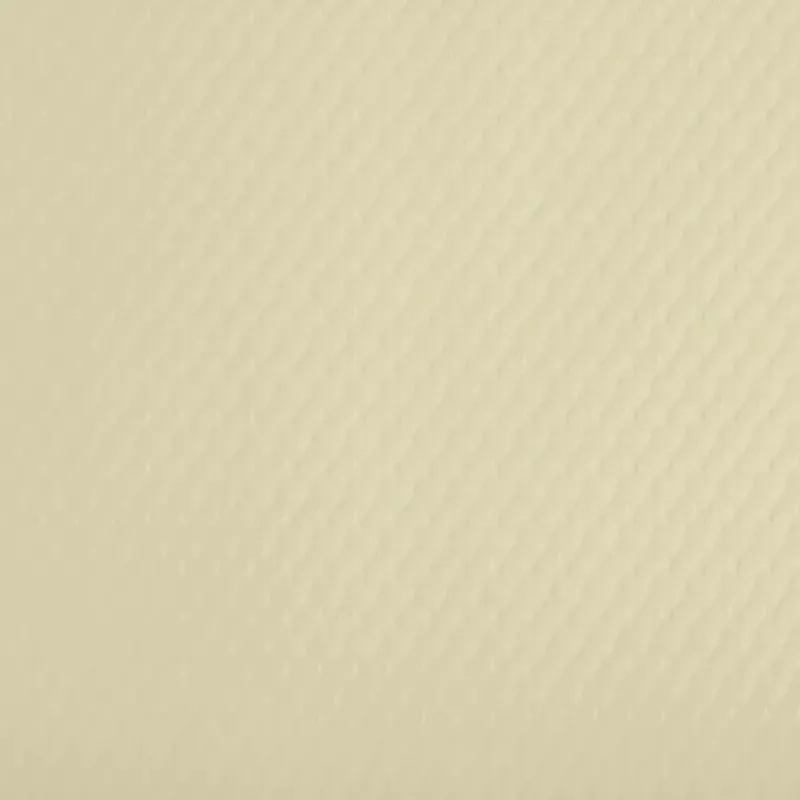 PROnappe Disposable Placemat 400 x 300 mm Ivory Embossed Lightly Satinized Paper
