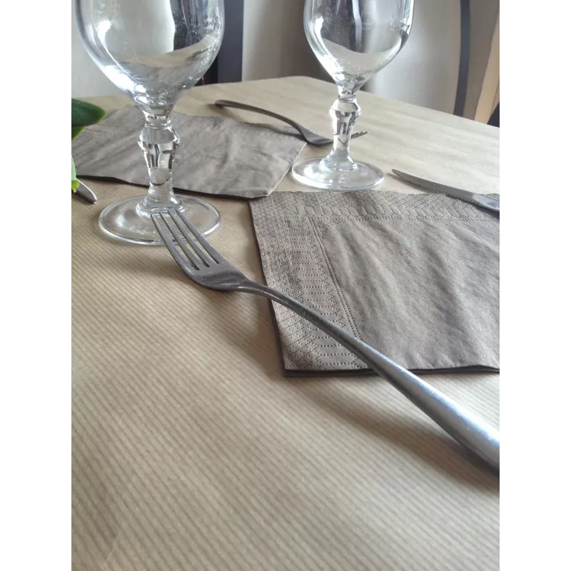PROnappe 500 Placemats Tiss Lacquered Natural 30.0 x 40,0 cm