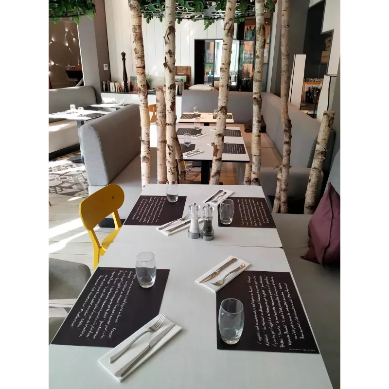 PROnappe 400 Placemats Slate Black 30.0 x 40,0 cm