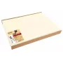 PROnappe vienkartinė padėkliukė Spunbond 400 x 300 mm, dramblio kaulo spalvos, PP