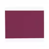 PROnappe Disposable Placemat Spunbond 400 x 300 mm Bordeaux