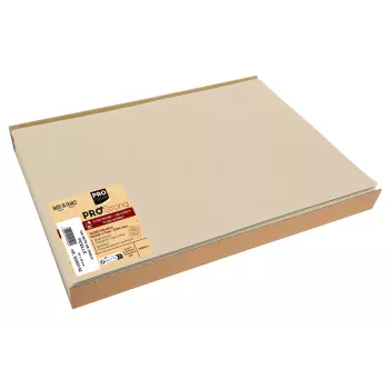 PROnappe 100 Placemats Brown 30.0 x 40,0 cm