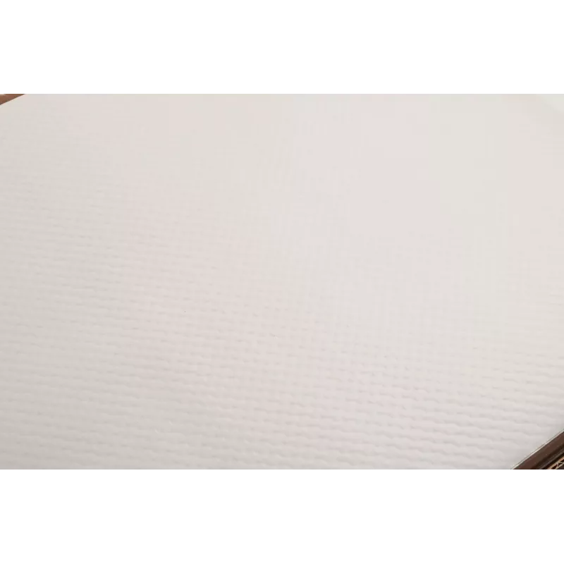 PROnappe 500 servetėlių Tiss Lack White 30,0 x 40,0 cm