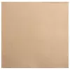 PROnappe popierinės servetėlės smėlio-rudos 2 sluoksnių 20 x 20 cm 50 vnt. pakuotė