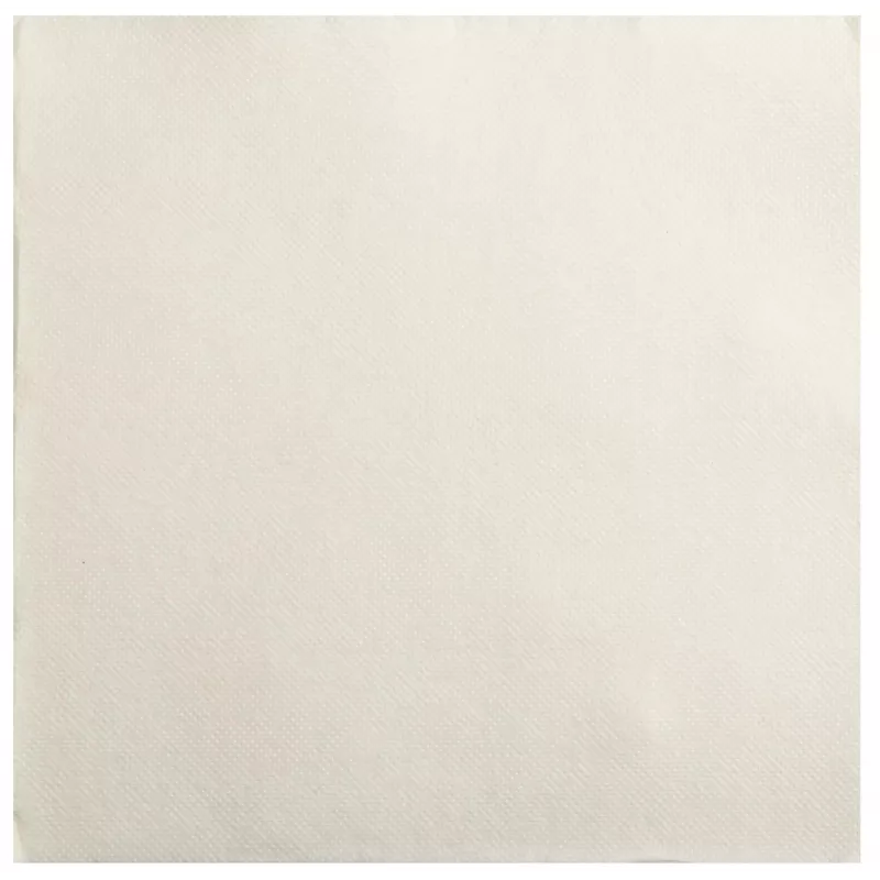 PROnappe Servetės Cream 2-Ply 19,0 x 19,0 cm 40 vnt.