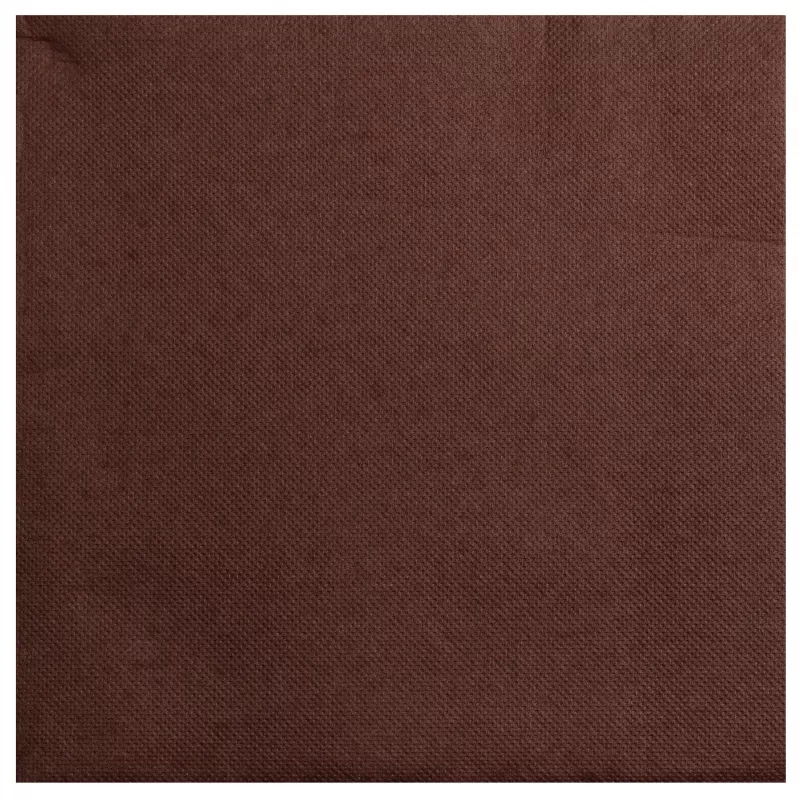PROnappe servetės Brown 2 sluoksnių 19,0 x 19,0 cm 40 vnt.