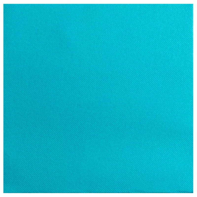 PROnappe Servetės Turkio spalvos 2 sluoksnių 19,0 x 19,0 cm 40 vnt.