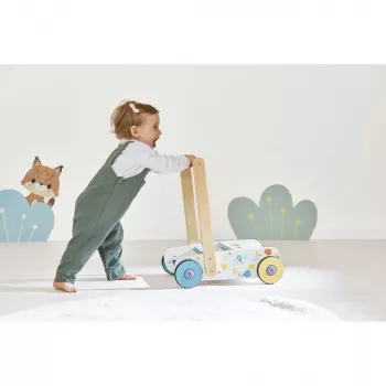 Janod Pure Push Walker su statybiniais kubeliais ir formų rūšiuokliu, 12m+