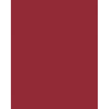 Folia 614/50 22 - Raudonas - Vienspalvis - A4 (210 x 297 mm) - 300 g/m² - 50 lapų - Vokietija