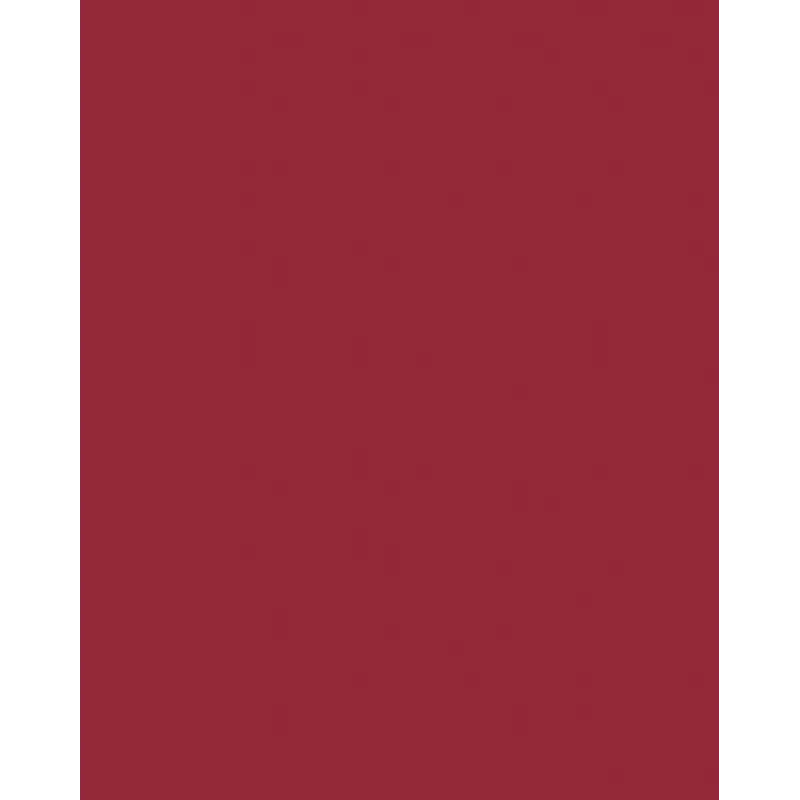 Folia 614/50 22 - Raudonas - Vienspalvis - A4 (210 x 297 mm) - 300 g/m² - 50 lapų - Vokietija