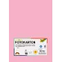 Folia 614/50 26 Rose - Plain - A4 (210 x 297 mm) - 300 g/m² - 50 Sheets - Germany