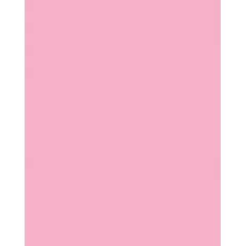 Folia 614/50 26 Rose - Plain - A4 (210 x 297 mm) - 300 g/m² - 50 Sheets - Germany