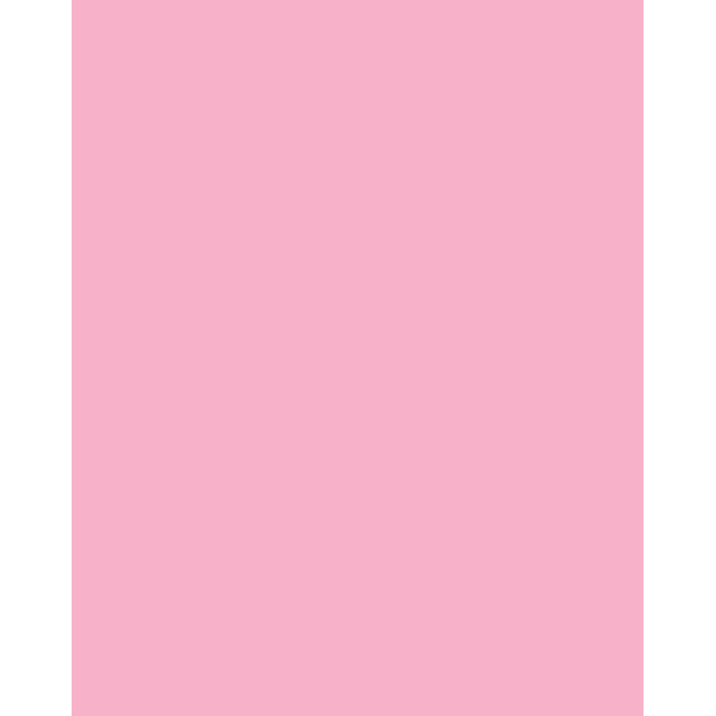 Folia 614/50 26 Rose - Plain - A4 (210 x 297 mm) - 300 g/m² - 50 Sheets - Germany