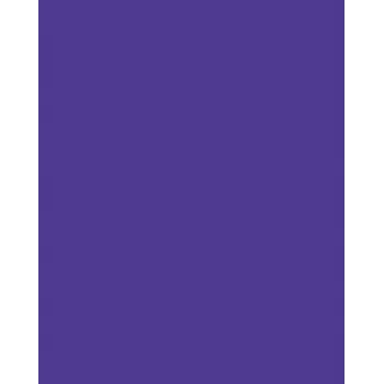 Folia 614/50 32 – Violet – vientisa spalva – A4 (210 x 297 mm) – 300 g/m² – 50 lapų – Vokietija