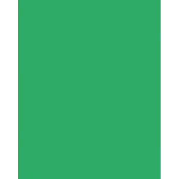 Folia 614/50 54 - Žalia - Vienos spalvos - A4 (210 x 297 mm) - 300 g/m² - 50 lapų - Vokietija
