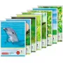 BRUNNEN College Notebook Lineatur 1 11 Line Systems Contrast Ruling Ruled DIN A5