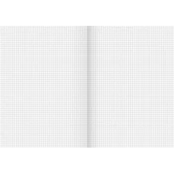 BRUNNEN School Notebook Recycling Lineatur 22 Squared No Margin A4 80 Sheets