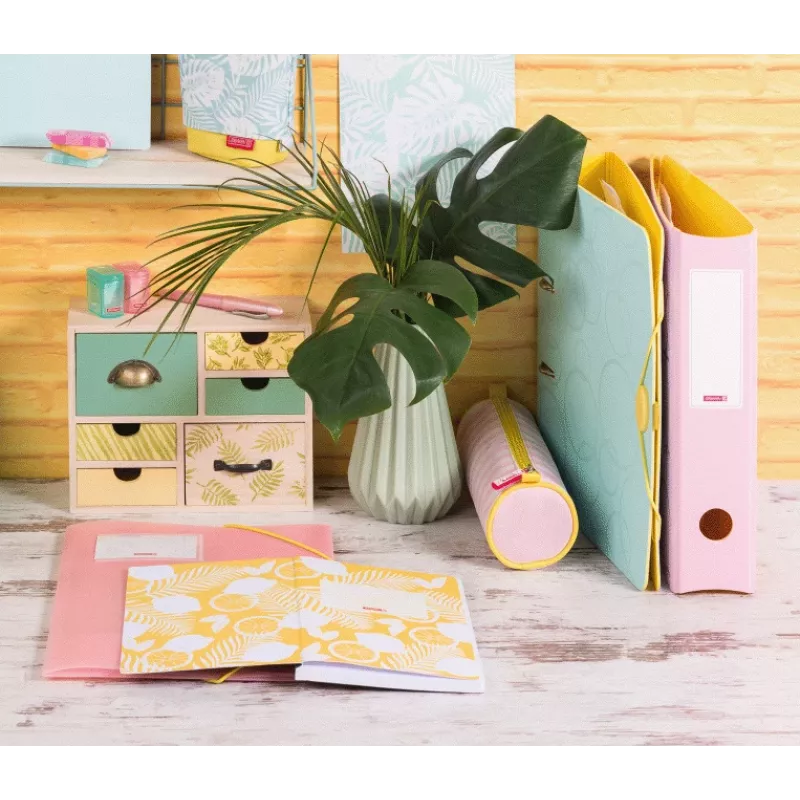 BRUNNEN Colours of Summer Collection Folders, DIN A4, Assorted Colours, 3-Pack, Polypropylene, Elastic Band Closure, 150 Sheets Capacity