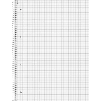 Brunnen College Block A4 Squared Lin.28 80 Sheets 90g Premium Silver 2 Margin Lines