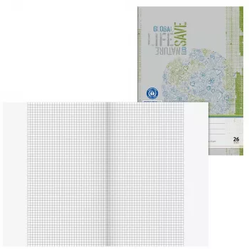 Brunnen School Notebook Recycling Lineatur 26 Squared with Outer Margin A4 16 Sheets 32 Pages 70 g/m² Recycled Paper Blue Angel