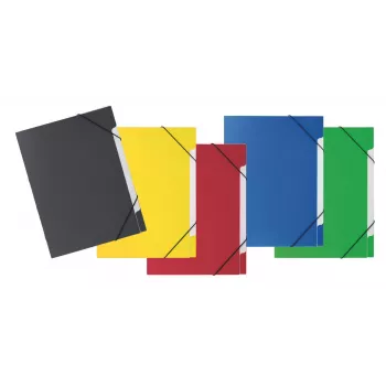 PAGNA 5-Part Organizer Folder Basic 5 Compartments Assorted Colors