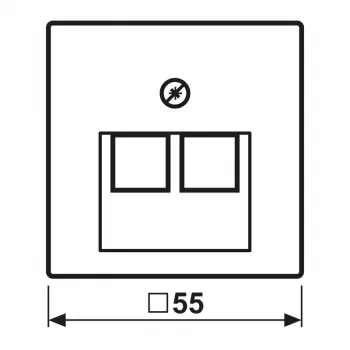 JUNG A 569-2 BFPLUA Centrinė plokštelė / Uždengiamoji plokštelė, 2 prievadai, RJ45, 6 kategorija, termoplastikas, dramblio kaulo spalvos