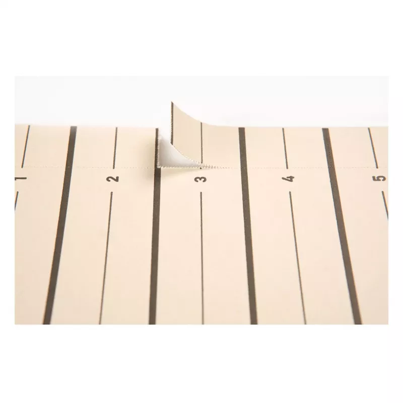 PAGNA A4 kartono failų skirtuvai, smėlio spalvos, 100 vnt., neperforuoti, 180 g/m² 44063-09