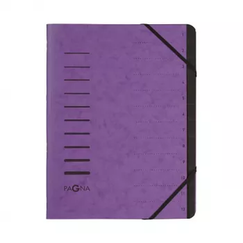 PAGNA Dokumentų aplankalas A4 violetinis portretinis 5 mm nugarėlė 245 x 320 mm