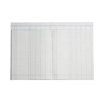 KOENIG & EBHARDT Column Book A4 4 Columns 32 Lines 80 Sheets 160 Pages Green Ruling Stitched
