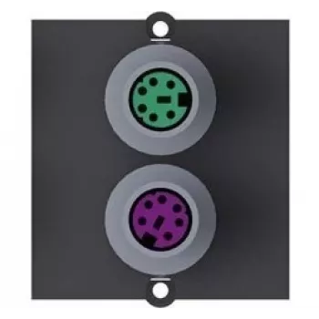 Bachmann Modular Faceplate Snap-In - PS/2 x 2