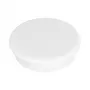 FRANKEN Magnet 13mm White Holding Force 100g 10 Vnt./Pak.
