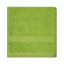 Dyckhoff vonkelinis rankšluostis Solid Green 70 x 140 cm