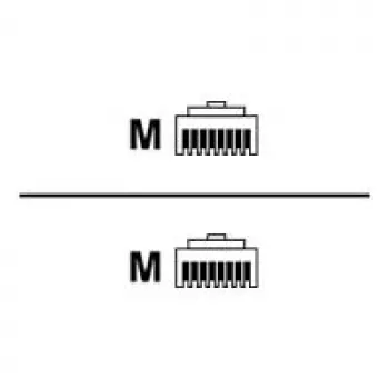 Rittal DK CMC III CAN-Bus Connection Cable - Network Cable - RJ-45 Male to RJ-45 Male - 1,5 m (7030.092)