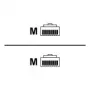 Rittal DK CMC III CAN-Bus Connection Cable - Network Cable - RJ-45 Male to RJ-45 Male - 1,5 m (7030.092)