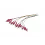Synergy 21 Fiber Optic Pigtail LC 50/125 µm OM4 2 m 12-Pack Colored