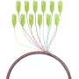EFB Elektronik Fibre Pigtail SC 50/125 OM5, 12 spalvų rinkinys, 2 m