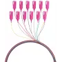 EFB Electronics Fibre Pigtail SC 50/125 OM4 12-Colour Set 2m