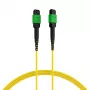 EFB Elektronik MTPF12MTPFOS2-7.5-A Fiber Optic Patch Cable 7,5 m OS2 MTP Female – MTP Female