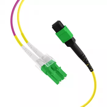 EFB Elektronik MTPF12LCAPC-1 - 1 m - OS2 - MTP - 12x LC šviesolaidinis išsišakojimo kabelis