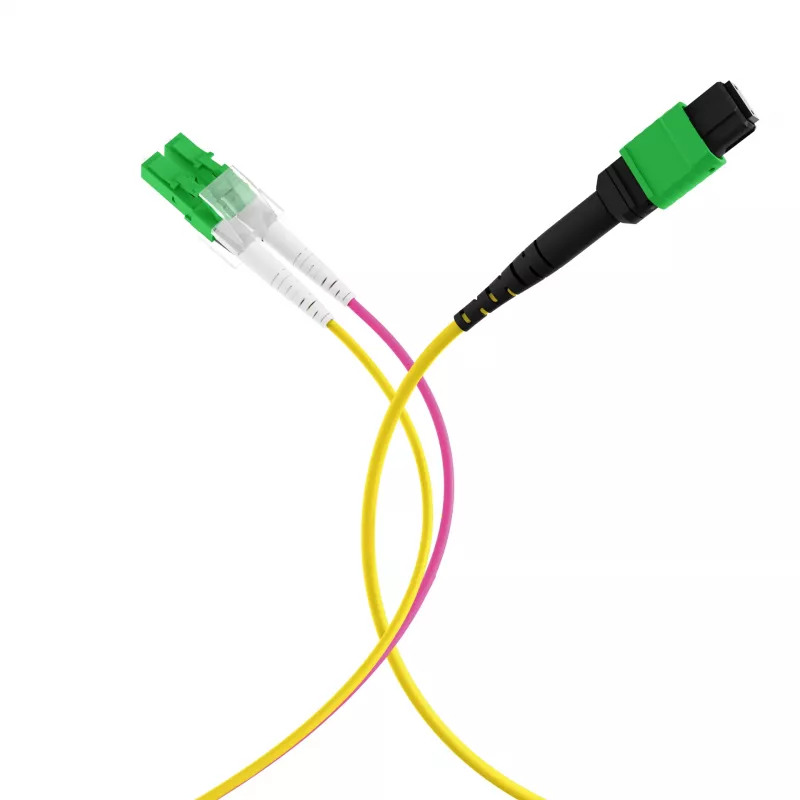 EFB Elektronik MTPF12LCAPC-1 - 1 m - OS2 - MTP - 12x LC šviesolaidinis išsišakojimo kabelis