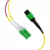 EFB Elektronik MTPF12LCAPC-10 - 10 m - OS2 - MTP - 12x LC