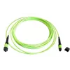 EFB Elektronik MTPF12MTPFOM5-2 2m OM5 MTP į MTP šviesolaidinis jungiamasis kabelis
