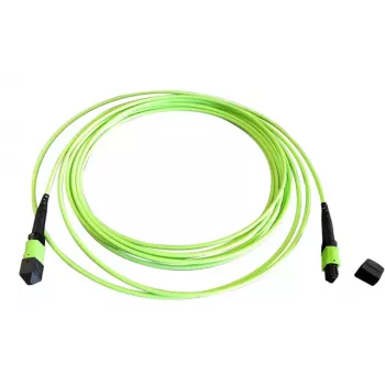 EFB Elektronik MTPF12MTPFOM5-2 2m OM5 MTP į MTP šviesolaidinis jungiamasis kabelis