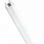 OSRAM LUMILUX T8 liuminescencinė lemputė 18W/827 G13 60 cm